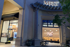 Photo of The Melt Photo of The Melt